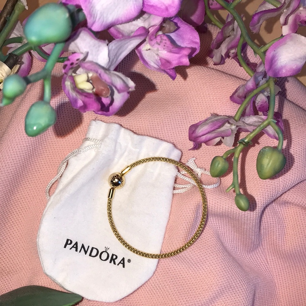 Pandora Shine Mesh Bracelet